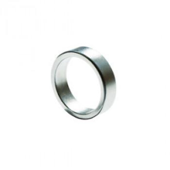 PK Ring - Magnetring Flach - 19mm - Silber